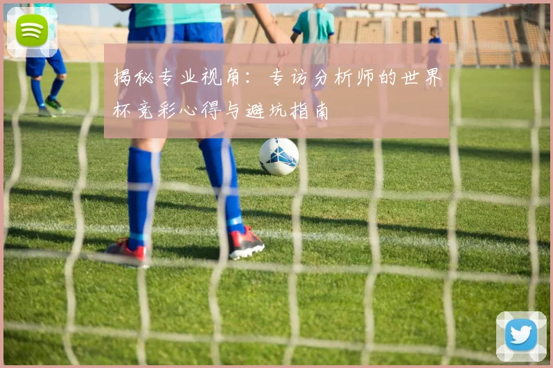 揭秘专业视角:专访分析师的世界杯竞彩心得与避坑指南
