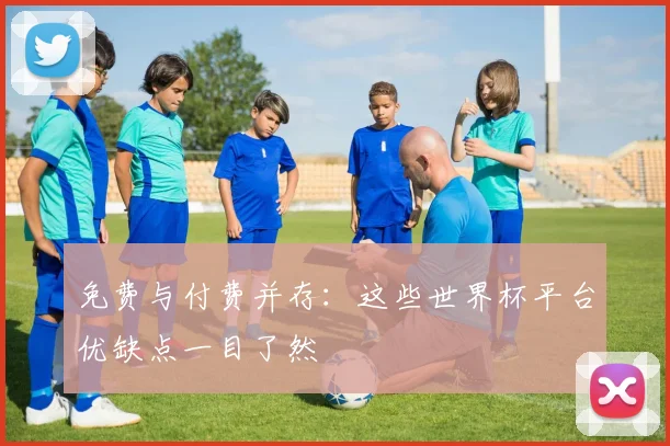 免费与付费并存:这些世界杯平台优缺点一目了然