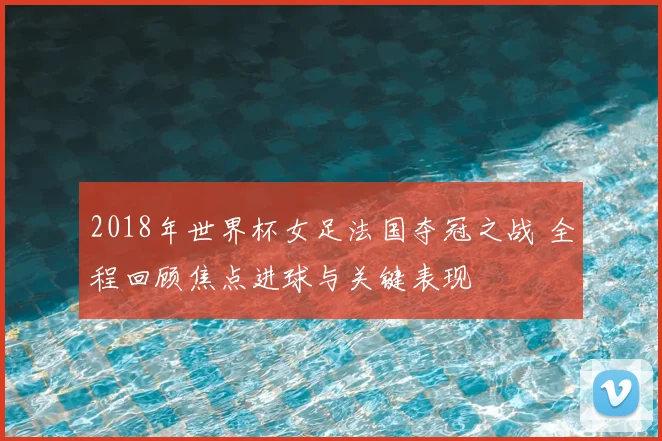 2018年世界杯女足法国夺冠之战 全程回顾焦点进球与关键表现